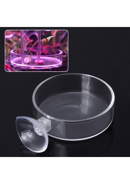Stili Temizle Tek Boyut Yeni Akvaryum Dibe Çökme Yüzük Geliyor Balık Tankı Yemlik Akvaryum Karides Cam Altı Yem Kabı Berrak Tabak Tepsi Batma Emme Bardak Yüzdürme Emme Kupası (Yurt Dışından)