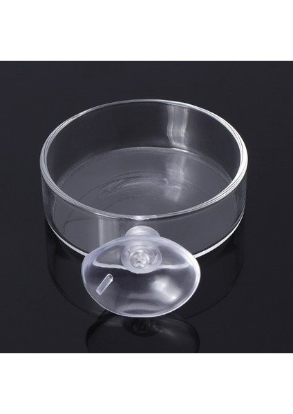 Stili Temizle Tek Boyut Yeni Akvaryum Dibe Çökme Yüzük Geliyor Balık Tankı Yemlik Akvaryum Karides Cam Altı Yem Kabı Berrak Tabak Tepsi Batma Emme Bardak Yüzdürme Emme Kupası (Yurt Dışından) fırsatları