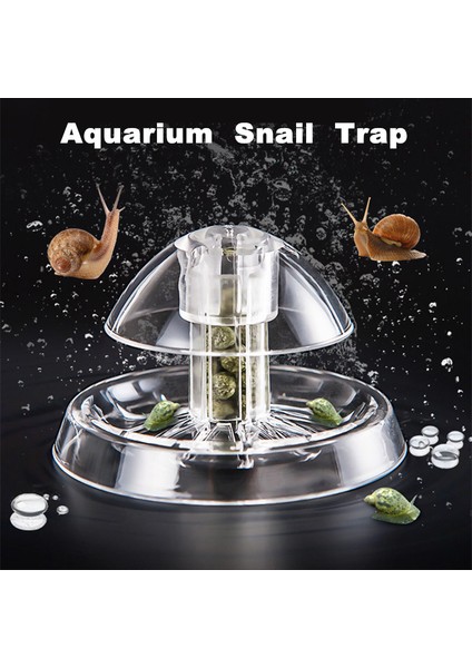 Beyaz Stil 8cm x 6cm Plastik Akvaryum Salyangoz Temizleyici Tuzak Su Bitkisi Planarya Solucan Yakalama Aracı Salyangoz Yakalama Aracı Akvaryum Bitki Karides Balık Için (Yurt Dışından) fiyatları