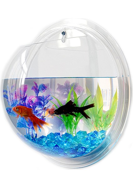 Şeffaf Stil 30CM Pinsjar Akrilik Balık Kasesi Duvara Asılan Akvaryum Tankı Su Ürünleri Duvara Monte Edilebilir Balık Tankı Betta Balığı Için (Yurt Dışından) fırsatları