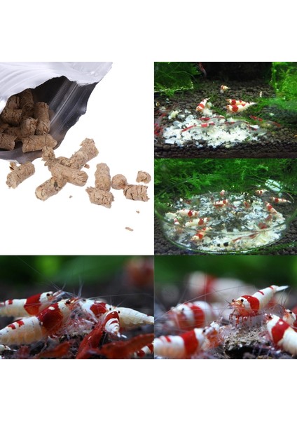 40G Kar Natto Karides Salyangoz Balık Yemi Akvaryum Tankı Havuz Yeni (Yurt Dışından) fiyatları