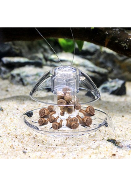 S Tarzı Akvaryum Salyangoz Yakalayıcı Salyangoz Tuzak Bitki Planaria Zararlı Yakalama Kutusu Akvaryum Balık Tankı Salyangoz Temizleme Cihazı (Yurt Dışından) fiyatları
