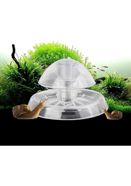 S Tarzı Akvaryum Salyangoz Yakalayıcı Salyangoz Tuzak Bitki Planaria Zararlı Yakalama Kutusu Akvaryum Balık Tankı Salyangoz Temizleme Cihazı (Yurt Dışından) modelleri