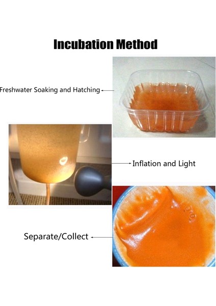 140G Tarzı 140G Akvaryum Tropik Balık Yemi Artemia Kabuklu Yumurtalar Tuzlu Su Yem Kabuklu Yumurta Yem Bebek Balıklar Için (Yurt Dışından) fırsatları