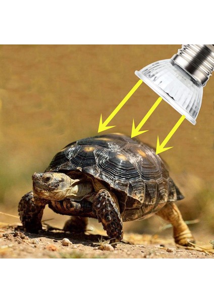 25W Tarzı Sürüngen Lambası Ampibiyanlar Kertenkeleler Sıcaklık Kontrollü Kaplumbağa Basking Uv Işık Ampul Isı Lambası (Yurt Dışından)