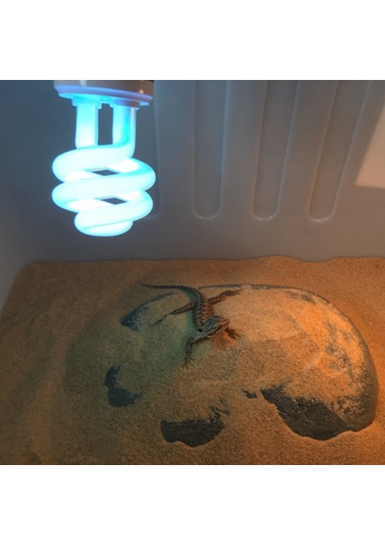 110V 10 Tarzı Yeni Uvb Lamba Kalsiyum Takviyeli Işık Ampulü Kaplumbağalar Için 13W E27 Gece Lambası Isıtma Için Sürüngenler ve Yılanlar (Yurt Dışından) indirimleri