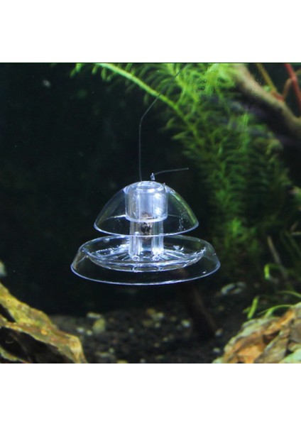 S Tarzı Akvaryum Salyangoz Yakalayıcı Salyangoz Tuzak Bitki Planaria Zararlı Yakalama Kutusu Akvaryum Balık Tankı Salyangoz Temizleme Cihazı (Yurt Dışından) indirimleri