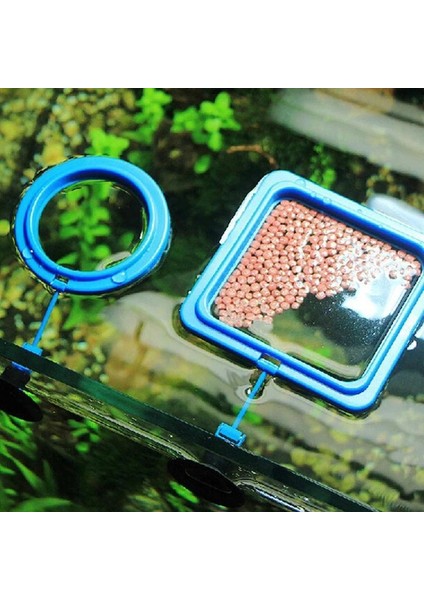 B Tarzı Balık Dondurma Akvaryum Balık Tankı Halka Istasyon Yüzen Yiyecek Su Bitkisi Batıklık Çember Yiyecek Sürüklenmesini Önleyin (Yurt Dışından) modelleri