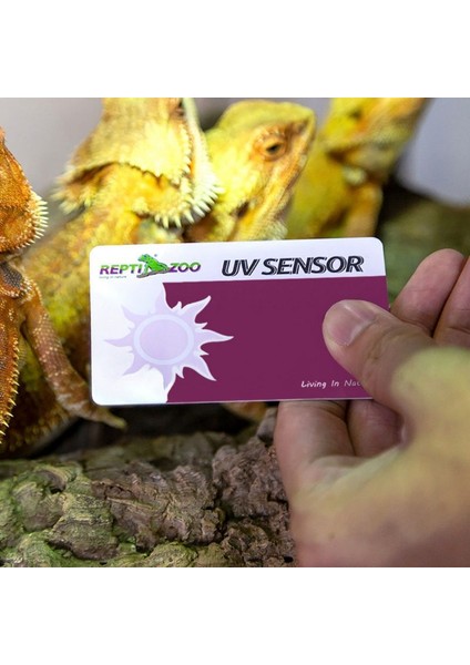 Sürüngen Terraryum Uvb Test Kartı Uv Işık Lambası Ömrü Test Kağıdı (Yurt Dışından)