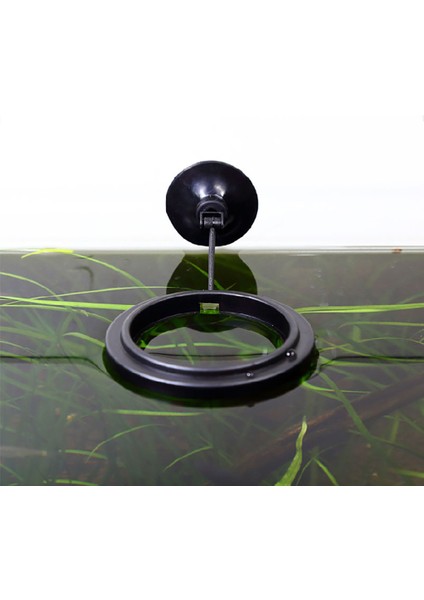 Bir Stil Yeni Akvaryum Yüzen Yem Tepsisi - Türkçe (Yurt Dışından) indirimleri