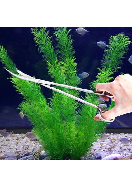 Kavisli Stil Kesici Sucul Akvaryum Bitki Tankı Paslanmaz Çelik Uzun Dalga Veya Temizlik Aracı Seti Su Ot Kesici Makas Balık Maşası Aquascape (Yurt Dışından) fırsatları