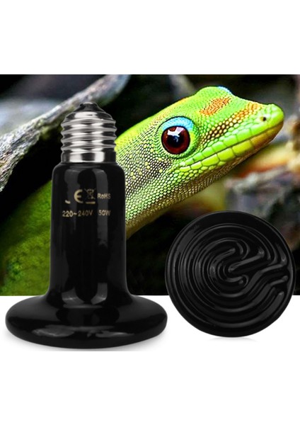 100W-4PCS Tarzı Kaplumbağa Terrarium Kızılötesi Lamba Sürüngen Yavrulama Kertenkele Isıtıcı Için Reptiller Için Isıtıcı Chocadeira Sürüngen Kaplumbağa Seramik Isıtıcı Emitir Heate (Yurt Dışından)