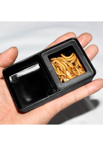 Beyaz Stil 1 Adet Sürüngen Tankı Böcek Örümcek Karınca Yuvası Yiyecek Su Kase Plastik Üreme Kutusu Ev Bahçe Çiftlik Malzemeleri (Yurt Dışından) modelleri