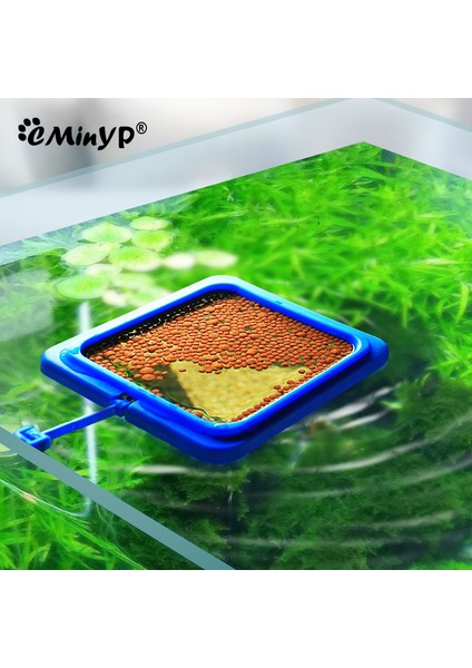 Mavi Yüksek Daire Stili Akvaryum Balığı Yüzük Balık Tankı Marikültür Balıkları Yüzen Yem Halkası Guppy Betta Altın Balık Için Emiş Kupası ile - (Yurt Dışından) modelleri