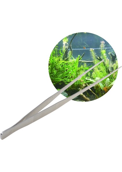 Düz Kafa Stili 48CM Akvaryum Canlı Tank Eğri Bitki Uzun Kavrama Paslanmaz Çelik Cımbız cm (Yurt Dışından) modelleri