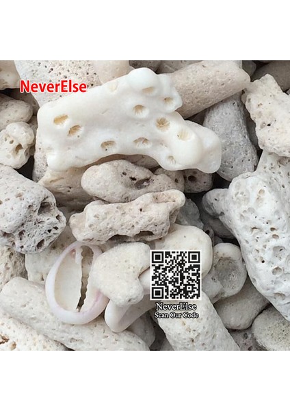 Mercan Kemiği Stili Lot Başına 200 Gram 200G Doğal Mercan Kemikli Akvaryum Filtre Orta Biyolojik Malzeme Mercan Kumları Için Ph Dengeleyici, Akvaryum Balık Tankı Filtrasyonu (Yurt Dışından)