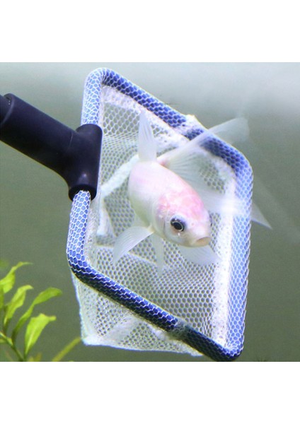 5'i 1 Arada Ölçeklenebilir Olmayan Stil Eğri Cam Temizleyici Süpürge Aracı Balık Çakıl Tarama Yosun Temizleyici Akvaryum Temizleme Araçları Sünger Fırça Ağ Aksesuarları (Yurt Dışından) fırsatları