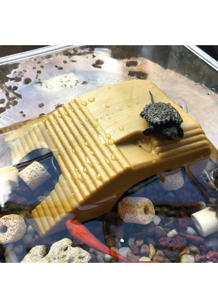 W Stili 1 Adet Sürüngen Platformu Kaplumbağa Güneşlenme Akvaryum Amphibian Su Ürünü Tank Merdiven (Yurt Dışından)