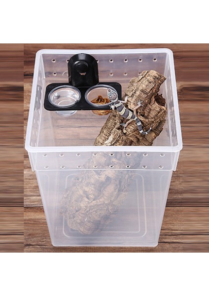 Çift Kutu Vida Stili 1 Adet Sürüngen Tankı Böcek Örümcek Karınca Yuvası Yılan Keler Yiyecek Su Kabı Terraryum Üreme Kutusu Evcil Hayvanlar Malzemeleri (Yurt Dışından) indirimleri
