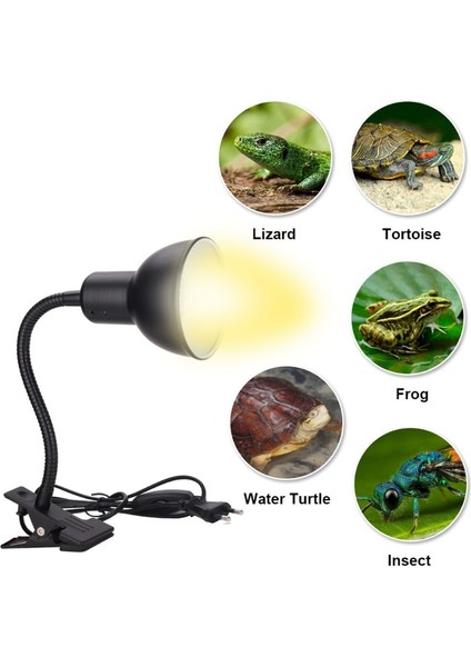 7HH1403862-AB Tarzı Sürüngen Lamba Standı Uva Uvb Lamba Aparatı Kertenkele Kaplumbağa Isıtma Lambası Tutucu Kelepçe (Yurt Dışından) modelleri