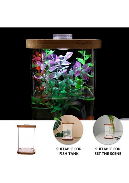 1 Adet Mini Balık Tankı Kare Şeffaf Bambu Tabanlı Mini Balık Tankı Küçük Balık Tankı (Yurt Dışından) modelleri