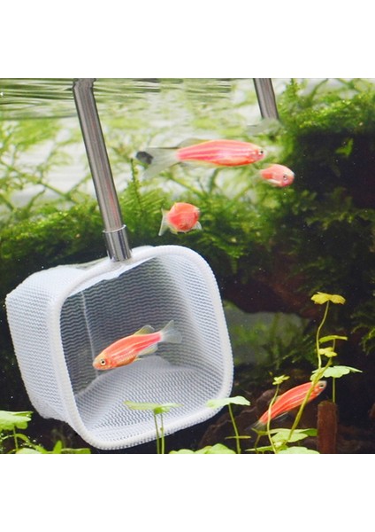 Çim DEKOR05 Stili Yeni cm Çekilebilir 3D Akvaryum Balık Tankı Ağ Yakalama Ağı Paslanmaz Çelik Çubuk Balıkçılık Kare Yuvarlak Cep Karides Yakalama Ağları (Yurt Dışından) fiyatları