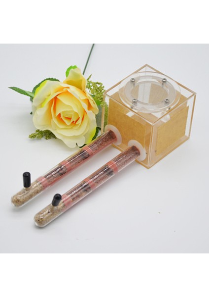 2 Adet Sarı 15X100 Stili Güzel Deneme Tüpü Karınca Yuvası Akrilik Karınca Çiftliği Bambu Tüp Küçük Evcil Hayvan Malzemeleri (Yurt Dışından) modelleri