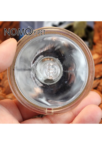 50W Tarzı Sürüngen Lamba Ampul Kaplumbağa Isıtma Işığı Uv Işık Pet Isıtma Işığı Için Amfibiler Terraryum Sıcaklık Kontrol Cihazı (Yurt Dışından) fırsatları