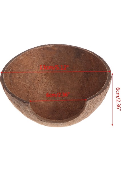 Sürüngen Saklanma Alanı Doğal Hindistan Ceviz Kabuğu Kertenkele Örümcek Küçük Hayvan Mağara Evi (Yurt Dışından) fırsatları