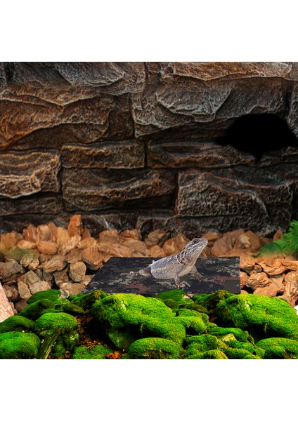 M Tarzı Sürüngen Isıtma Ped USB Isıtma Matı Karbon Fiber Evcil Hayvan Isıtma Ped Karbon Fiber El Isıtıcısı Isıtma Elektrikli Ateş Evcil Matısı (Yurt Dışından) modelleri