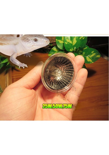 75W X4 110V Stili 4'lü Sürüngen Vivaryum Güneş Isı Tungsten Halojen Uvb + Uva Fırın Lamba Ampulü 110V 220V - Geniş Spektrum Işık Yayar (Yurt Dışından) fırsatları