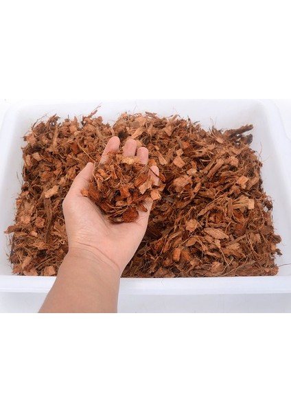 500G Hindistan Cevizi Kabuk Tuğla Torf Organik Topraksız Saksı Bahçe Doğal Bitki Toprak Besin Yatağı (Yurt Dışından)