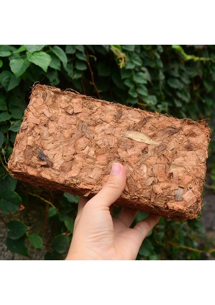 500G Hindistan Cevizi Kabuk Tuğla Torf Organik Topraksız Saksı Bahçe Doğal Bitki Toprak Besin Yatağı (Yurt Dışından) modelleri