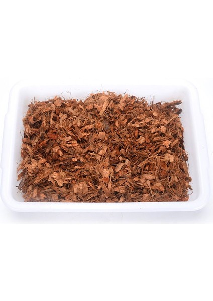 500G Hindistan Cevizi Kabuk Tuğla Torf Organik Topraksız Saksı Bahçe Doğal Bitki Toprak Besin Yatağı (Yurt Dışından) fırsatları