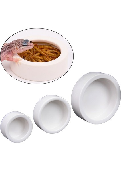 8FP600004 Stili S Beden Kaplumbağa Su ve Yiyecek Kabı Mini Yuvarlak Kaplumbağa Mealworms Kasesi Gecko Hermit Crab Reptirock Kaplumbağa Evcil Hayvan Besleme Malzemeleri (Yurt Dışından)
