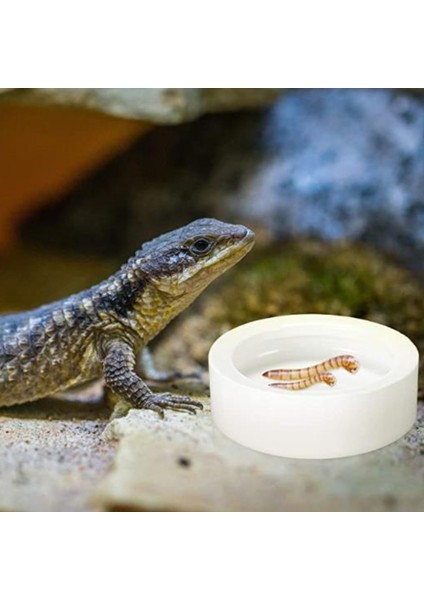 8FP600004 Stili S Beden Kaplumbağa Su ve Yiyecek Kabı Mini Yuvarlak Kaplumbağa Mealworms Kasesi Gecko Hermit Crab Reptirock Kaplumbağa Evcil Hayvan Besleme Malzemeleri (Yurt Dışından)