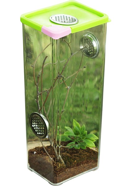 10.5X8X25.5CM Stili Kertenkele Üreme Kutusu Net Akrilik Sürüngen Terraryumu Böcek Kutusu Böcek Kertenkele Kafesi Örümcek Akrep Için (Yurt Dışından)