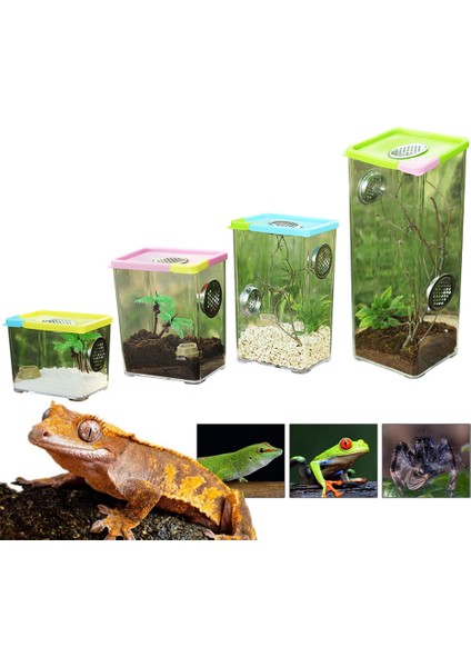 10.5X8X25.5CM Stili Kertenkele Üreme Kutusu Net Akrilik Sürüngen Terraryumu Böcek Kutusu Böcek Kertenkele Kafesi Örümcek Akrep Için (Yurt Dışından)