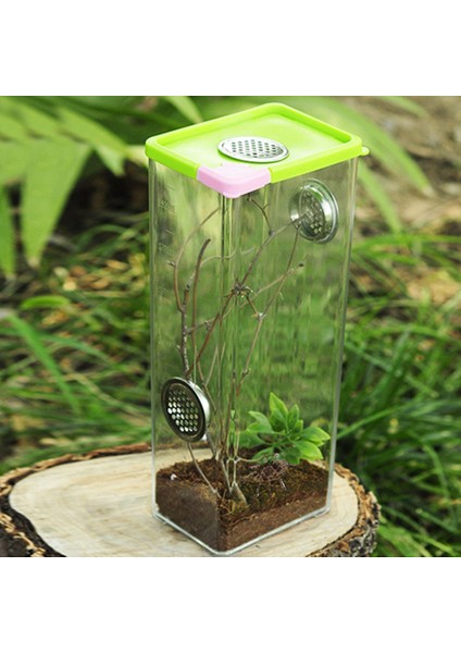 10.5X8X25.5CM Stili Kertenkele Üreme Kutusu Net Akrilik Sürüngen Terraryumu Böcek Kutusu Böcek Kertenkele Kafesi Örümcek Akrep Için (Yurt Dışından)