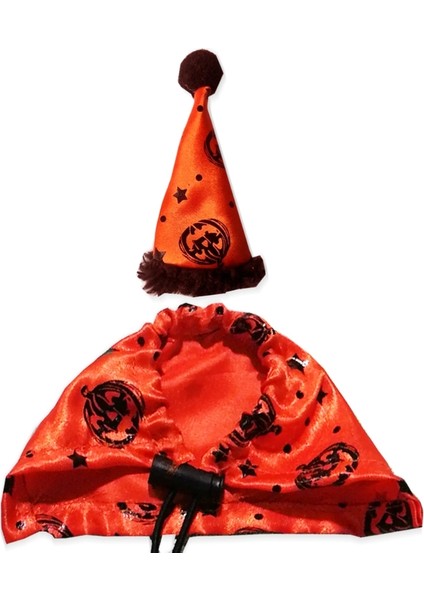 No.1 Tarzı Ayarlanabilir Sakallı Ejderha Kostümü Kertenkele Şapka ve Pelerin ile Sürüngenler Küçük Evcil Hayvanlar Tatil Kıyafet Aksesuarları (Yurt Dışından)