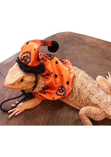 No.1 Tarzı Ayarlanabilir Sakallı Ejderha Kostümü Kertenkele Şapka ve Pelerin ile Sürüngenler Küçük Evcil Hayvanlar Tatil Kıyafet Aksesuarları (Yurt Dışından) fiyatları