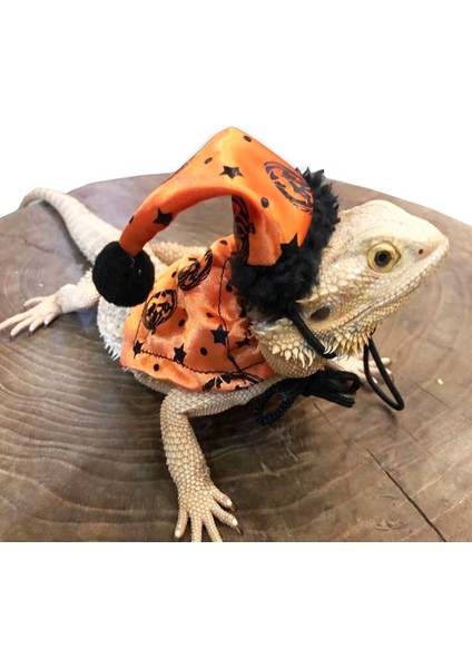 No.1 Tarzı Ayarlanabilir Sakallı Ejderha Kostümü Kertenkele Şapka ve Pelerin ile Sürüngenler Küçük Evcil Hayvanlar Tatil Kıyafet Aksesuarları (Yurt Dışından) modelleri