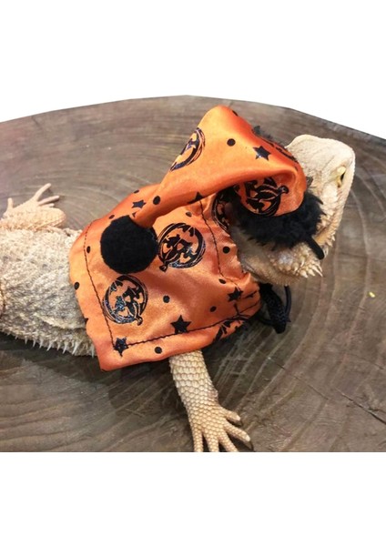 No.1 Tarzı Ayarlanabilir Sakallı Ejderha Kostümü Kertenkele Şapka ve Pelerin ile Sürüngenler Küçük Evcil Hayvanlar Tatil Kıyafet Aksesuarları (Yurt Dışından) fırsatları