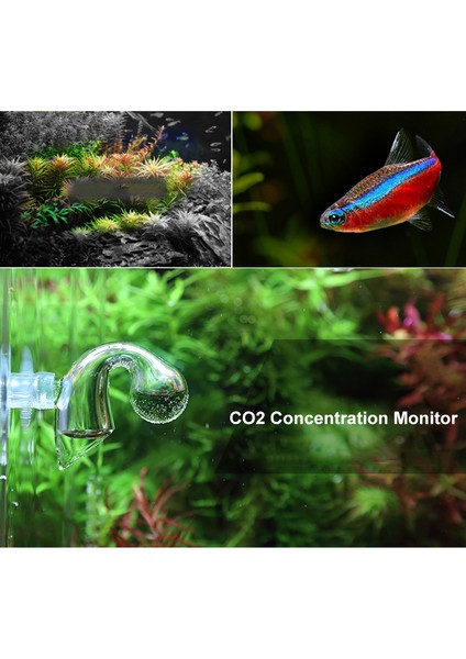 Monitör ve Akıcı Stil Co2 Akvaryum Difüzör Cam Damla Kontrol Cihazı Co2 Monitörü Için Ph Uzun Süreli Gösterge Monitör Test Cihazı (Yurt Dışından) indirimleri