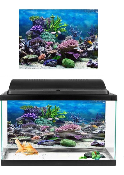 No.3 Tarzı 122X46CM 3D Etkili Taze Deniz Arka Planı Akvaryum Okyanus Manzara Poster Akvaryum Arka Planı Poster Dekorasyon Duvar Peyzaj Arka Planı (Yurt Dışından) fiyatları