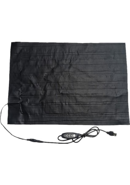Siyah Stil 45 X30CM USB Karbon Fiber Isıtmalı Paspas Hayvanlar Pet Isıtıcı Mat Halı Kışın Sıcak Halı (Yurt Dışından) modelleri