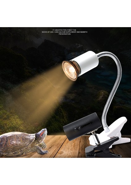 50W Tarzı Uvb E27 Evcil Hayvan Sürüngen Lambası Kelepçeli Ampul Lamba Tutucu Kaplumbağa Güneşlenme Uv Isıtma Lambası Seti Kaplumbağalar Işık Kertenkele Aydınlatma Ab Fişi (Yurt Dışından)