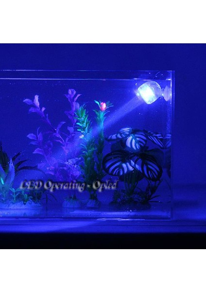 Au Tak Beyaz Renk Stili Açık Alan Iç Mekan Sualtı LED Lamba, Mercan Resifli Akvaryum Işığı Için Su Geçirmez LED Akvaryum Işığı, Daldırılabilir Akvaryum Spot Lamba Işığı (Yurt Dışından) modelleri