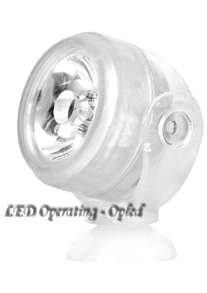 Au Tak Beyaz Renk Stili Açık Alan Iç Mekan Sualtı LED Lamba, Mercan Resifli Akvaryum Işığı Için Su Geçirmez LED Akvaryum Işığı, Daldırılabilir Akvaryum Spot Lamba Işığı (Yurt Dışından) indirimleri