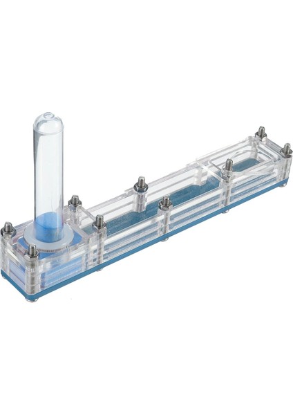 Mavi Stil Aktif Bölge ile Mini Cam Tüp Karınca Yuvası - Türkçe (Yurt Dışından)